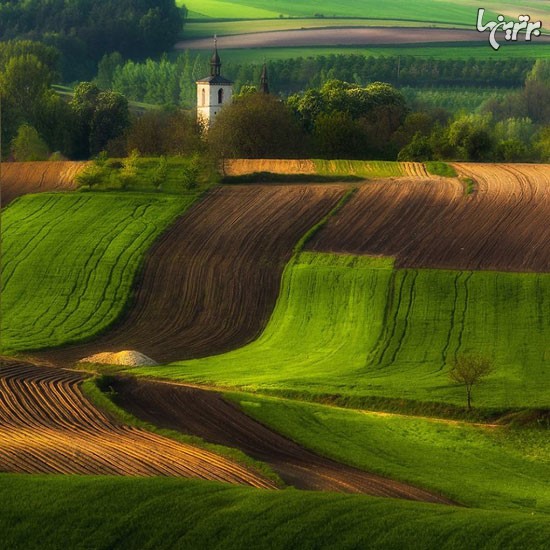 نتیجه 20 سال عکاسی از مزارع اروپایی!