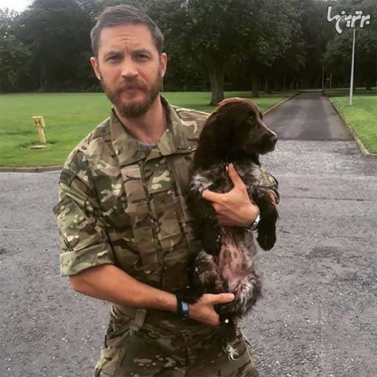 عکس‌های زیبا و دوست داشتنی تام هاردی با سگ‌ها