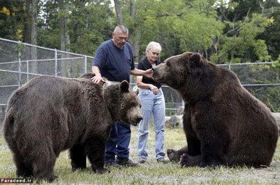 دوستی صمیمانه مرد و خرس غول‌پیکر