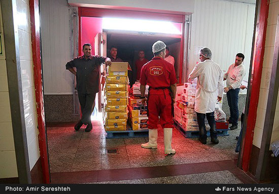 عکس: کارگاه تولید خمیرِ مرغ