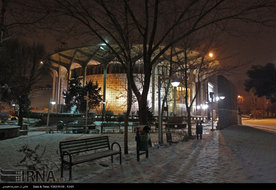 عکس: جلوه های یک شب برفی در تهران