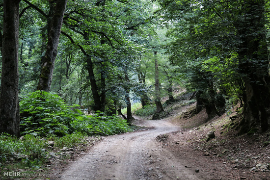 طبیعت زیبای جاده خلخال به اسالم