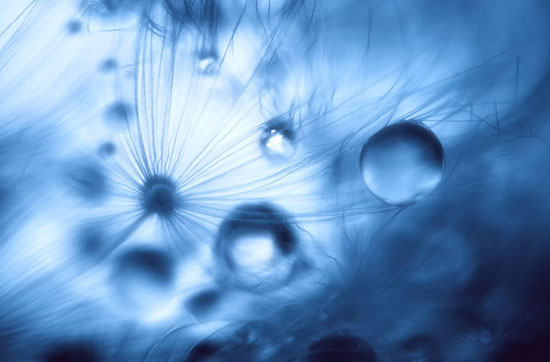 کهکشانی زیبا از قطرات آب +عکس