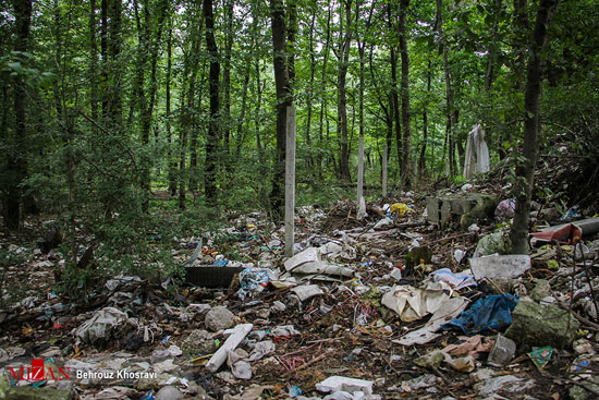جنگل‌های اطراف آمل در تسخیر زباله