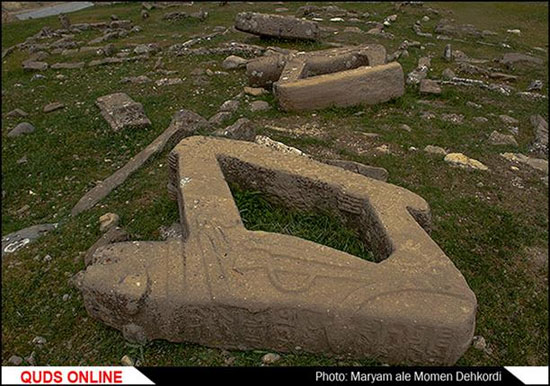 شیر در قبرستان/گزارش تصویری