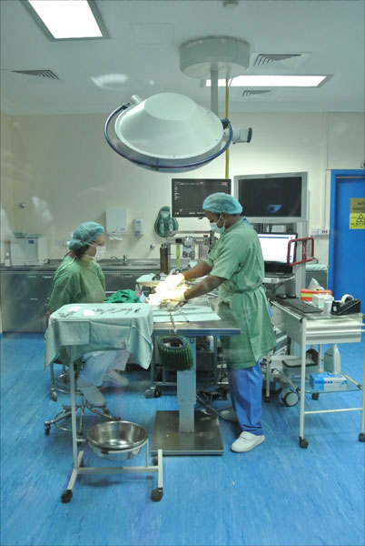 بیمارستان شاهین ها در ابوظبی +عکس