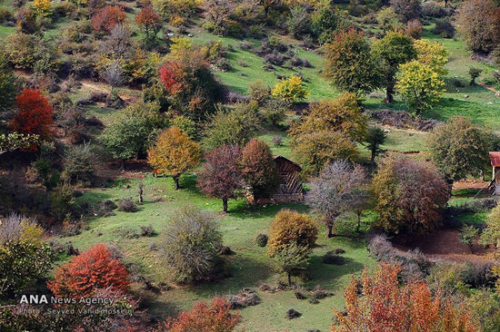 عکس: طبیعت پاییزی جنگل‌های هزار خال گیلان