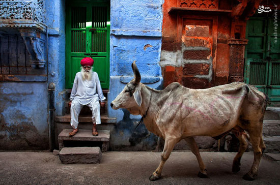 تصاویر خاص از سرزمین هزار رنگ؛ هندوستان
