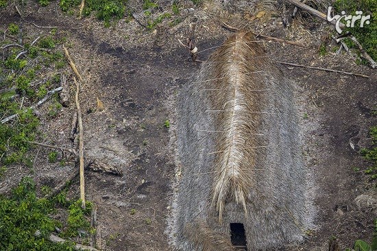 قبیله ای باورنکردنی و به دور از تمدن در آمازون
