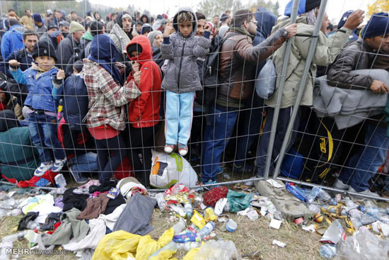 عکس: پناهجویان پشت سیم های خاردار