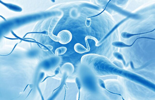 کاهش تعداد اسپرم «تهدید حیاتی» برای بشر است؟