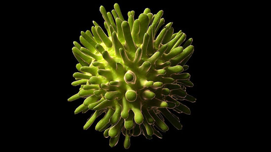 12 ویروس کشنده که به طور فریبنده ای زیبا هستند