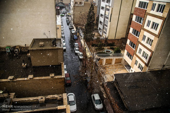 بارش اولین برف زمستانی در تهران +عکس