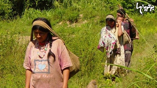 سالم ترین قلب های جهان در جنگل های بولیوی