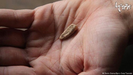 کشف دندان انسان 560 هزار ساله +عکس