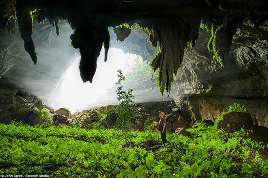 کایاک سواری در اعماق یک جنگل زیرزمینی