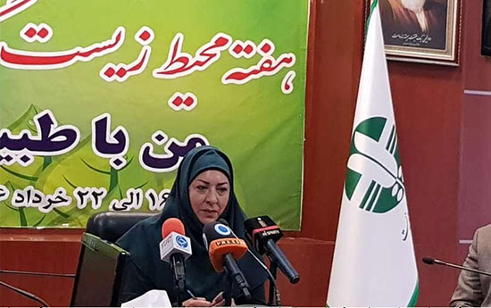 دکتر پروین فرشچی، دومین سفیر زن ایران