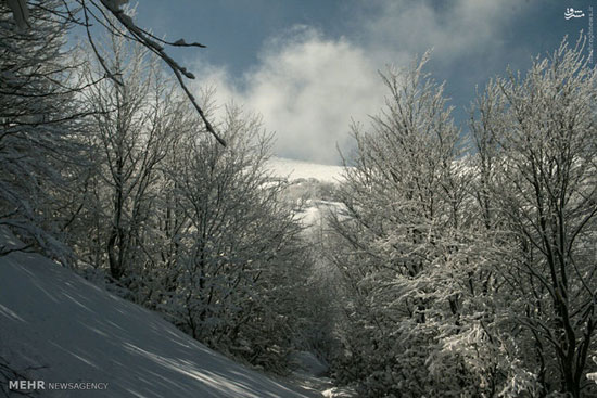عکس: طبیعت زیبای زمستان اردبیل