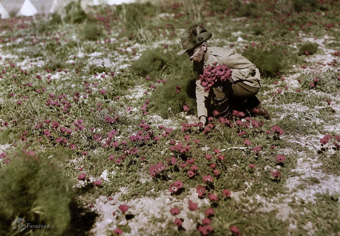 تصاویر کمیاب از جنگ جهانی اول