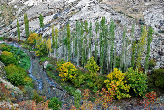 عکس: طبیعت پاییزی ارسباران