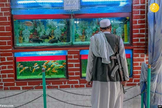 بازدید عناصر طالبان از باغ وحش کابل