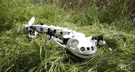 ۷ ربات که با الهام گرفتن از حیوانات طراحی شده‌اند