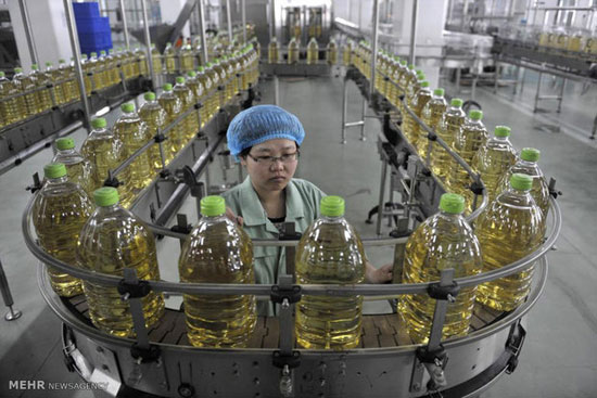 کارخانه های مواد غذایی در چین