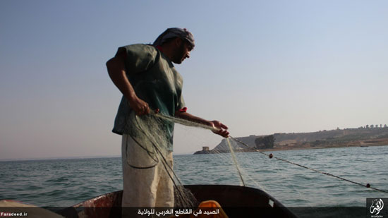 داعشی‌ ها در ماهیگیری +عکس