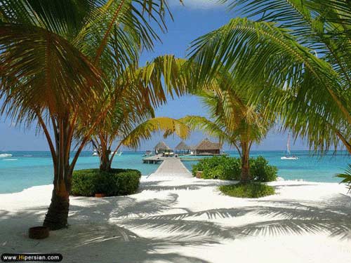 بهشت زمین ، مالدیو  !