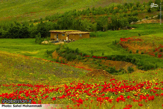 طبیعت محشر کردستان