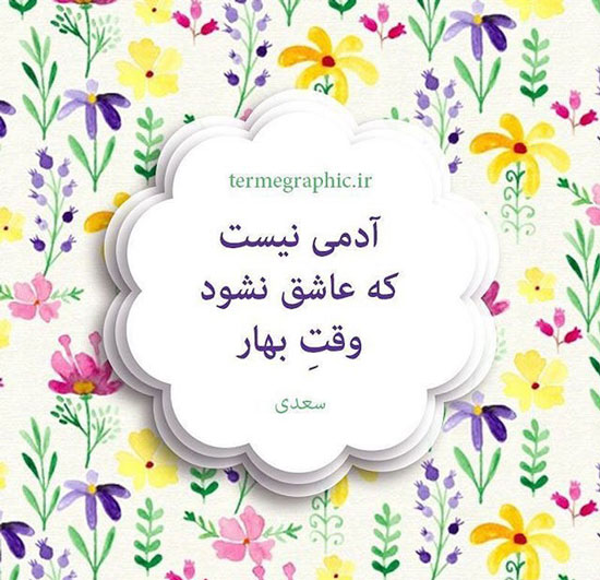 مینی شعر(237)