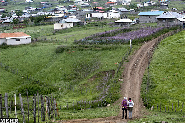 گزارش تصویری: روستای زیبایی در تالش