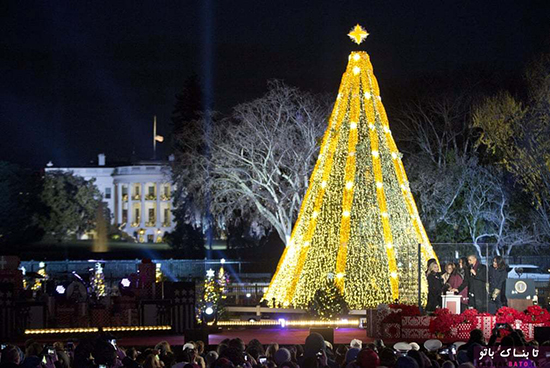 تصاویری از درخت کریسمس در سرتاسر جهان