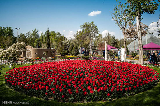 تصاویری زیبا از جشنواره لاله ها در کرج