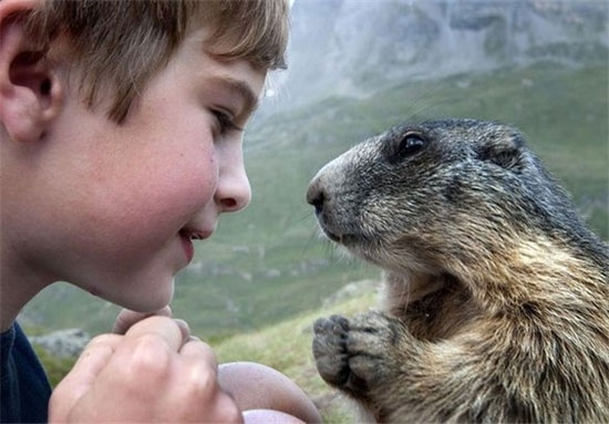 دوستی جالب سنجاب‌ها با پسربچه +عکس