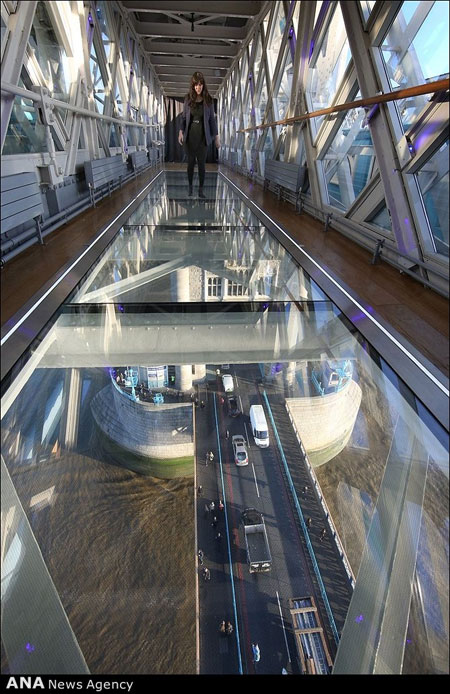 پل‌های شیشه ای جهان +عکس