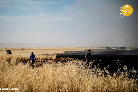 آتش تروریست‌ها در مزارع کشاورزی سوریه