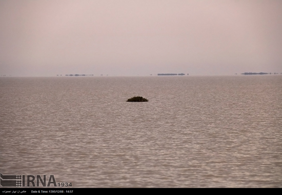 «هامون» جان دوباره گرفت