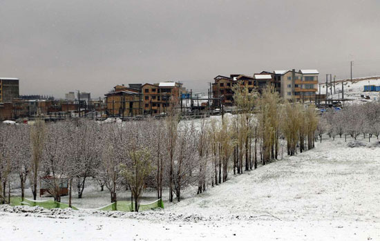 برف و سرمای بهاری در آذربایجان غربی