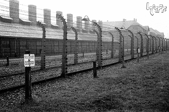 تصاویری از وحشیگری‌های غیرانسانی در اردوگاه‌ آشویتس