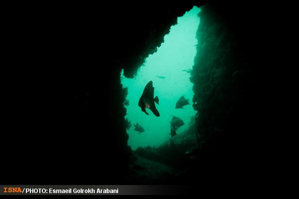 عکس؛ آبهای خلیج فارس ، جزیره قشم