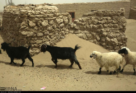 هجوم شن‌های روان در منطقه سیستان