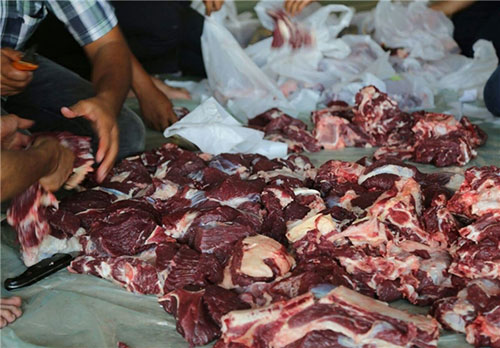 توزیع گوشت قربانی ایران بین فلسطینی ها