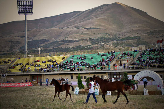 دومین جشنواره ملی اسب اصیل کُرد