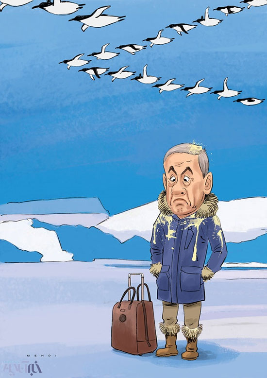 کاریکاتور: اولین واکنش پنگوئن ها به نتانیاهو!