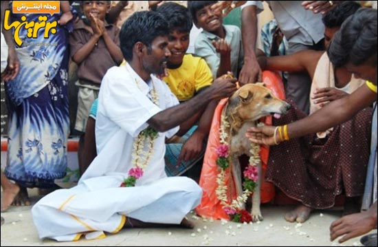 ازدواج یک جوان هندی با سگ! + عکس