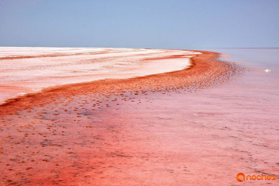 سرخ شدن دریاچه‌ نمک در ترکیه +عکس