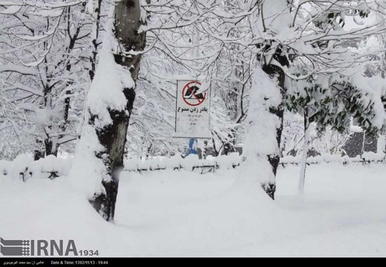 عکس: مازندران در محاصره برف