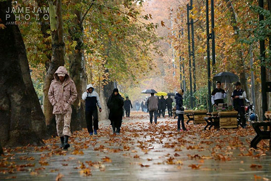 طبیعت پائیزی تهران
