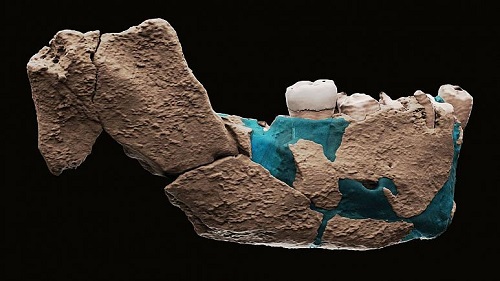 کشف بقایای انسان با قدمت ۱۲۰هزار سال